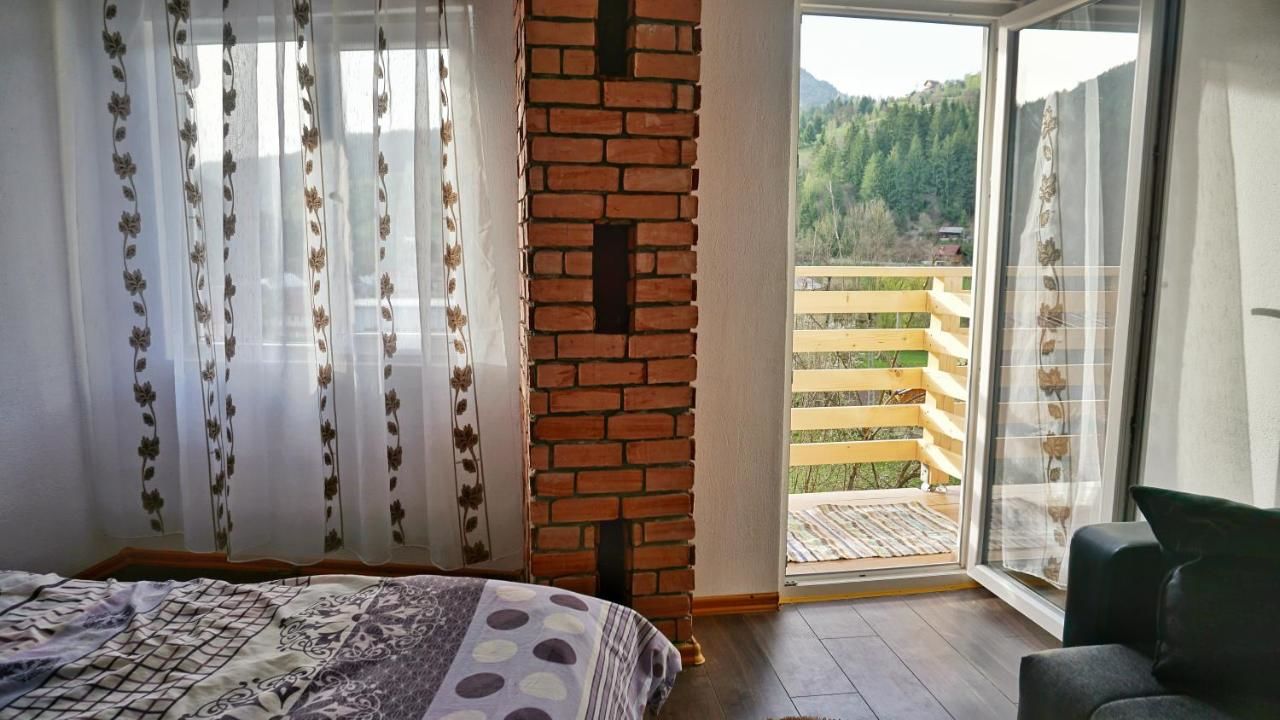 Лоджи Pensiunea Jianu Альбац